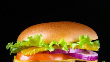 Cheeseburger